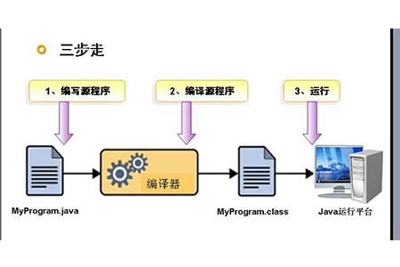 java属于什么类型语言