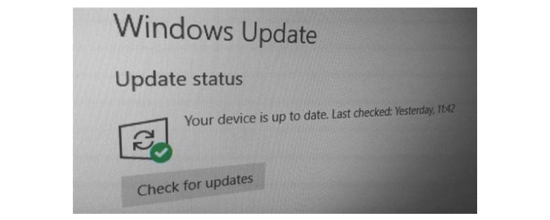 windows中update是什么意思