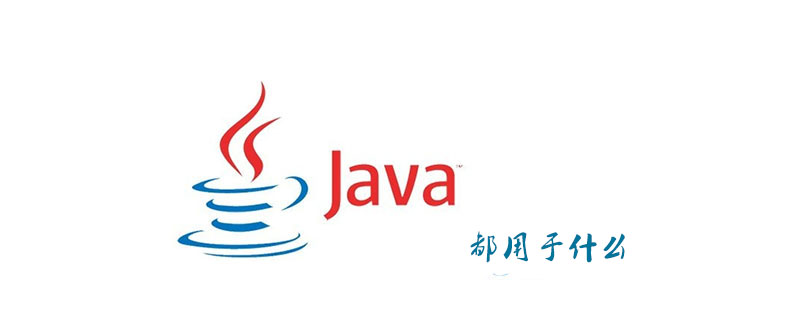 What is java used for?