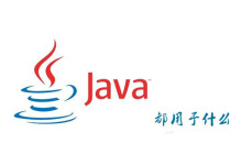 java都用来干什么