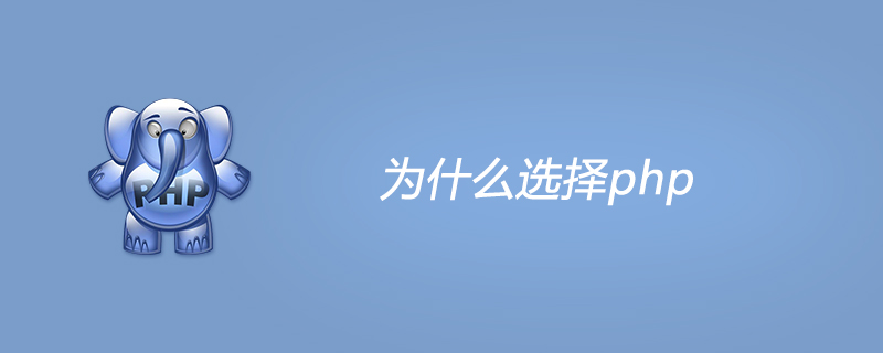 为什么选择php