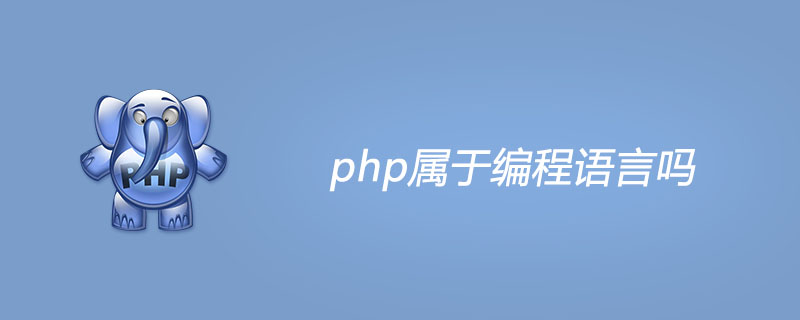 php属于编程语言吗
