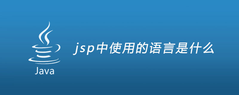 jsp中使用的语言是什么
