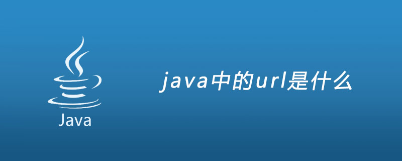 java中的url是什么