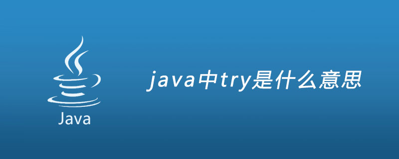java中try是什么意思