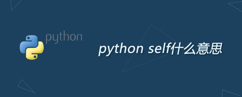 python self什么意思