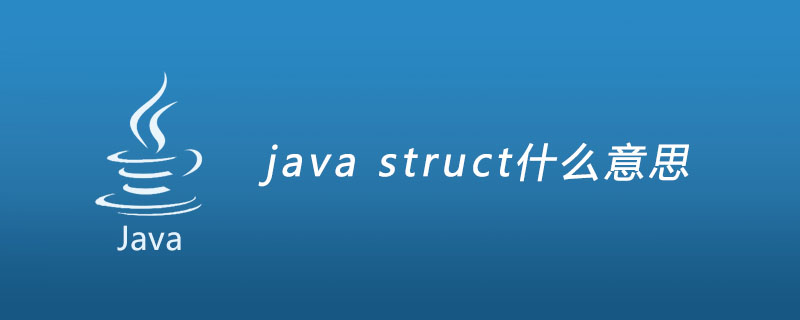 java struct什么意思