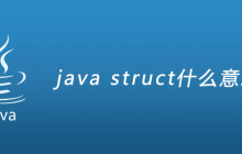 java struct什么意思