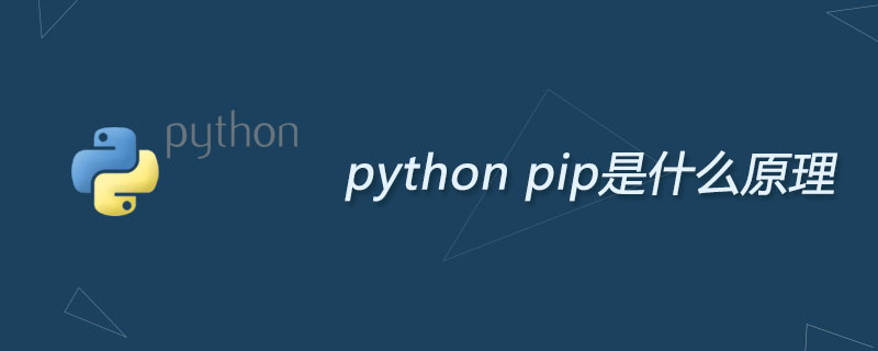 What is the principle of python pip?