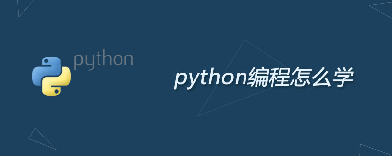 How to learn python programming