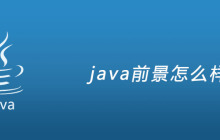 java前景怎么样