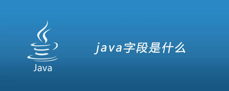 what is java field