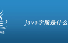 java字段是什么