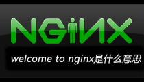 welcome to nginx是什么意思