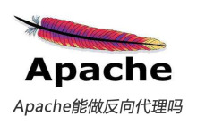 Apache能做反向代理吗