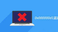 Was sind die Ursachen für den Bluescreen 0x000000d1?