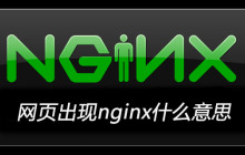 网页出现nginx什么意思