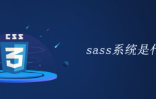 sass系统是什么