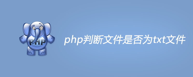 php判断文件是否为txt文件