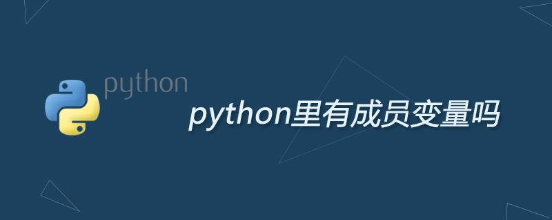 python里有成员变量吗