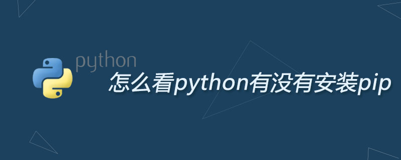 怎么看python有没有安装pip