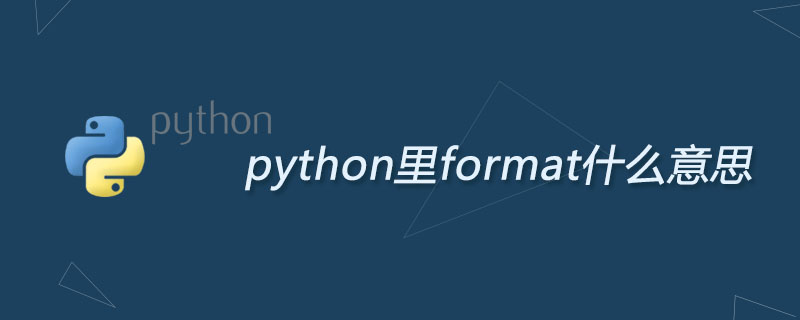 python里format什么意思