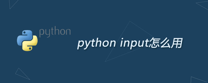 python input怎么用