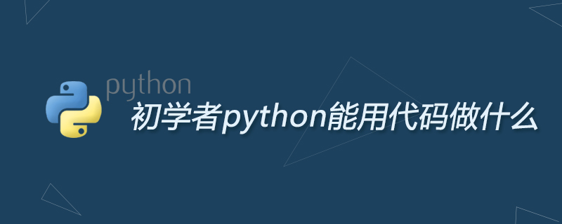 初心者がPythonコードを使って何ができるでしょうか?