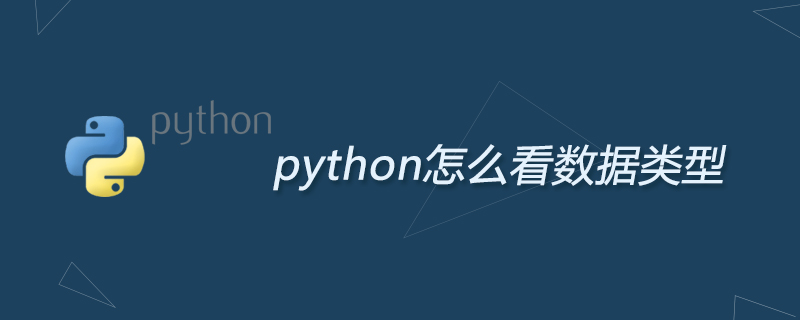 python怎么看数据类型