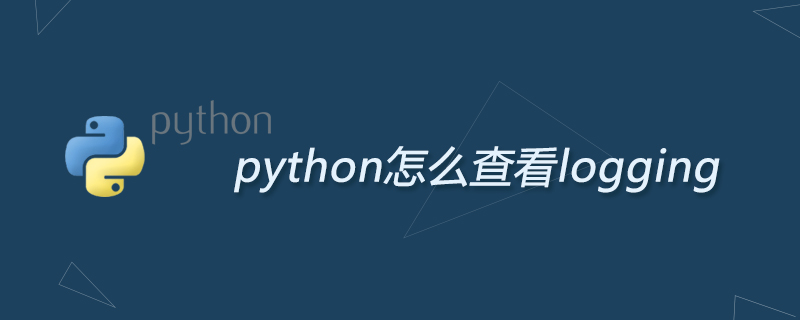 python怎么查看logging