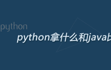python拿什么和java比