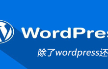 除了wordpress还有什么