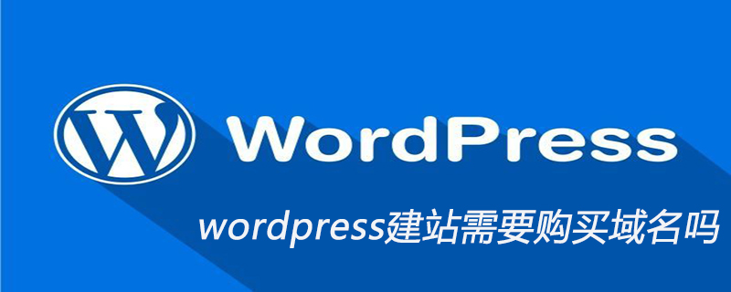wordpress建站需要購買域名嗎-小浪學習網