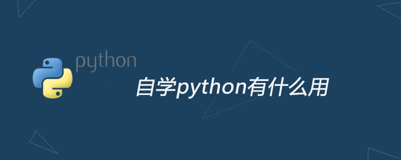 What is the use of learning python by yourself?