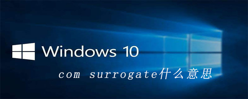 com surrogate什么意思