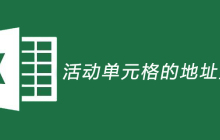 活动单元格的地址显示在