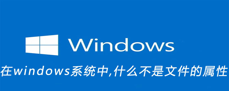 在windows系统中,什么不是文件的属性