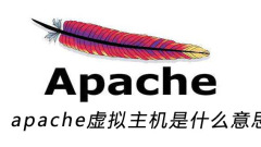 What does apache virtual host mean?