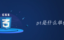 pt是什么单位
