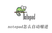 notepad++怎么自动缩进