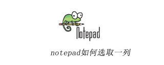notepad++如何选取一列
