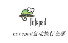 notepad自动换行在哪