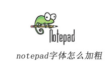 notepad++字体怎么加粗