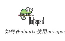 如何在ubuntu使用notepad