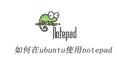 How to use notepad on ubuntu