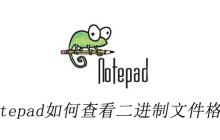 notepad++如何查看二进制文件格式
