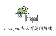 notepad怎么看编码格式