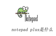 notepad plus是什么