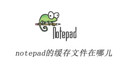 Where is notepad's cache file?