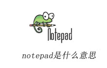notepad是什么意思